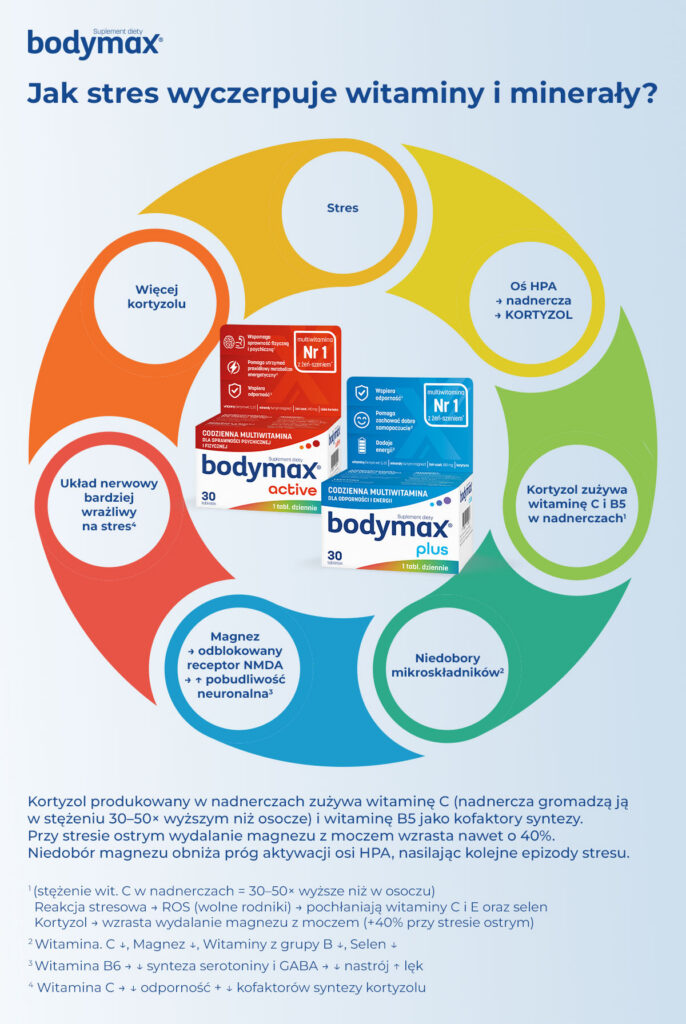 Jak stres wyczerpuje witaminy i minerały - infografika